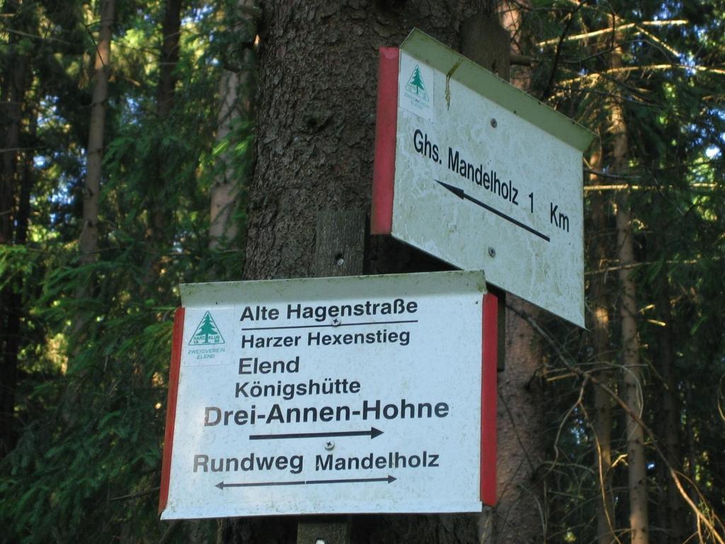 Hotel Gruene Tanne Mandelholz Elend Dış mekan fotoğraf